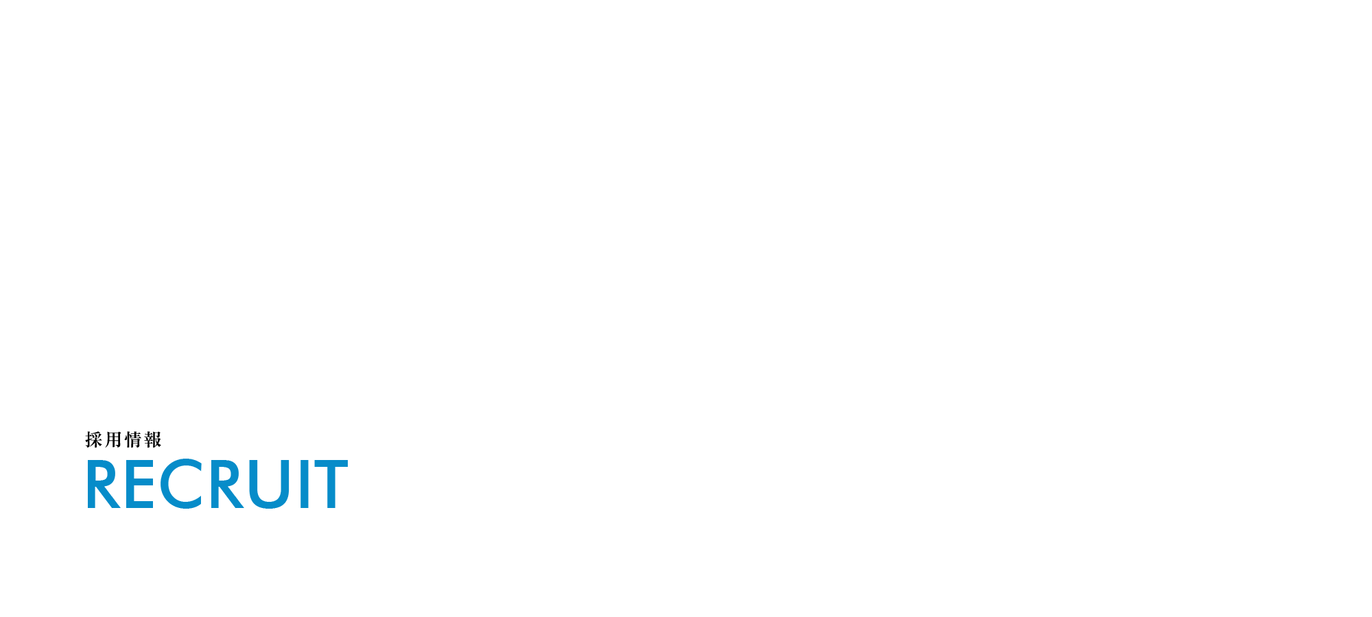 採用情報